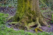 Ooypoort Nijmegen 2015 | Foto © Henk Beenen