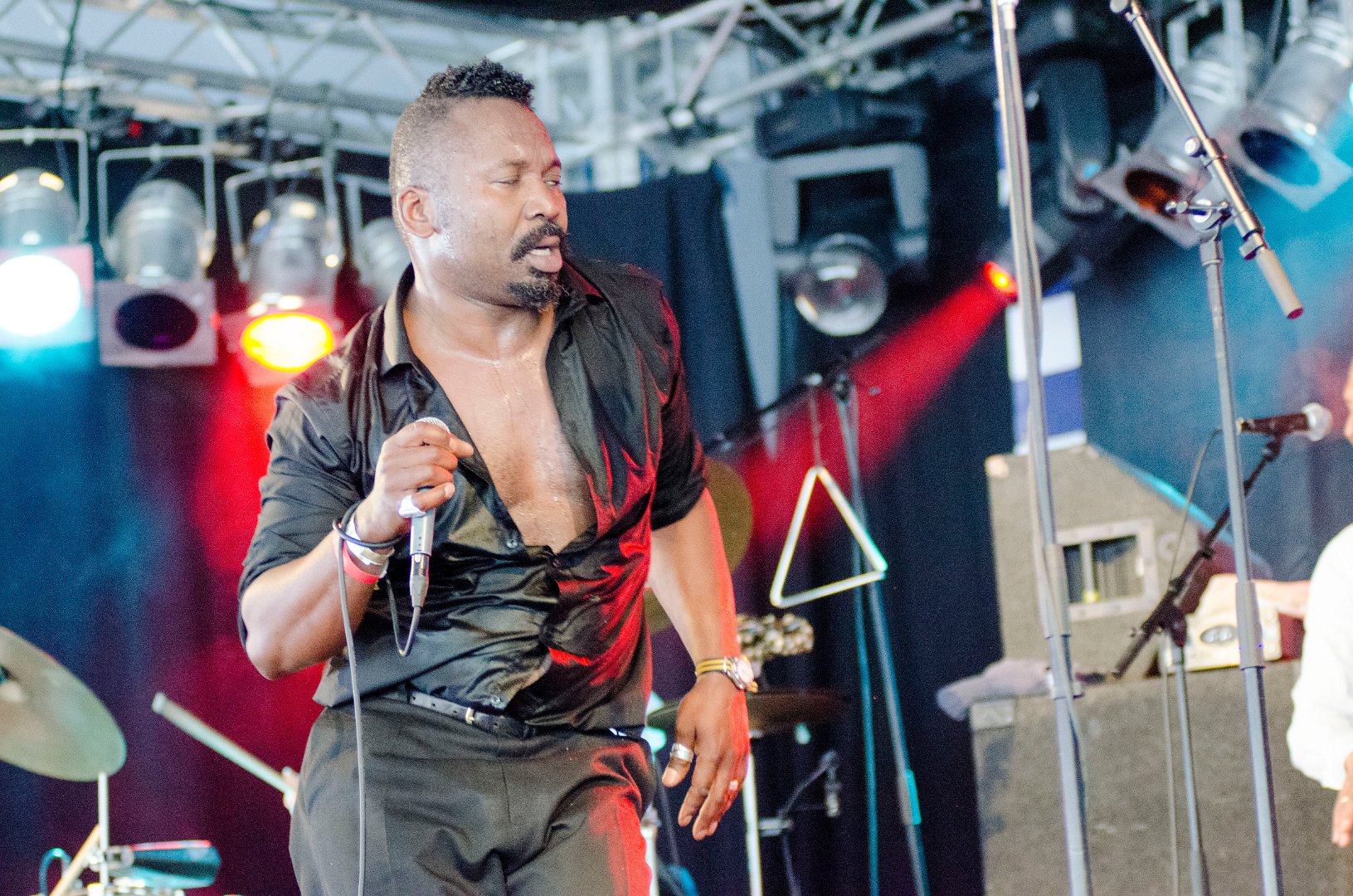 Ribs & Blues 2015 | Reverend Shine Snake Oil Co