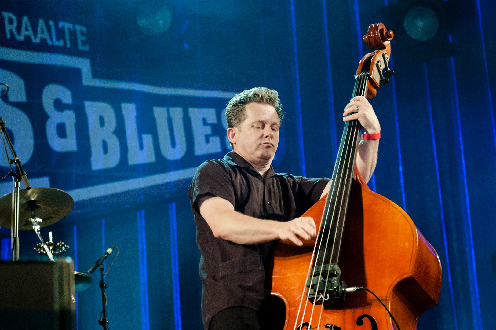 Ribs & Blues 2015 | Mud Morganfield