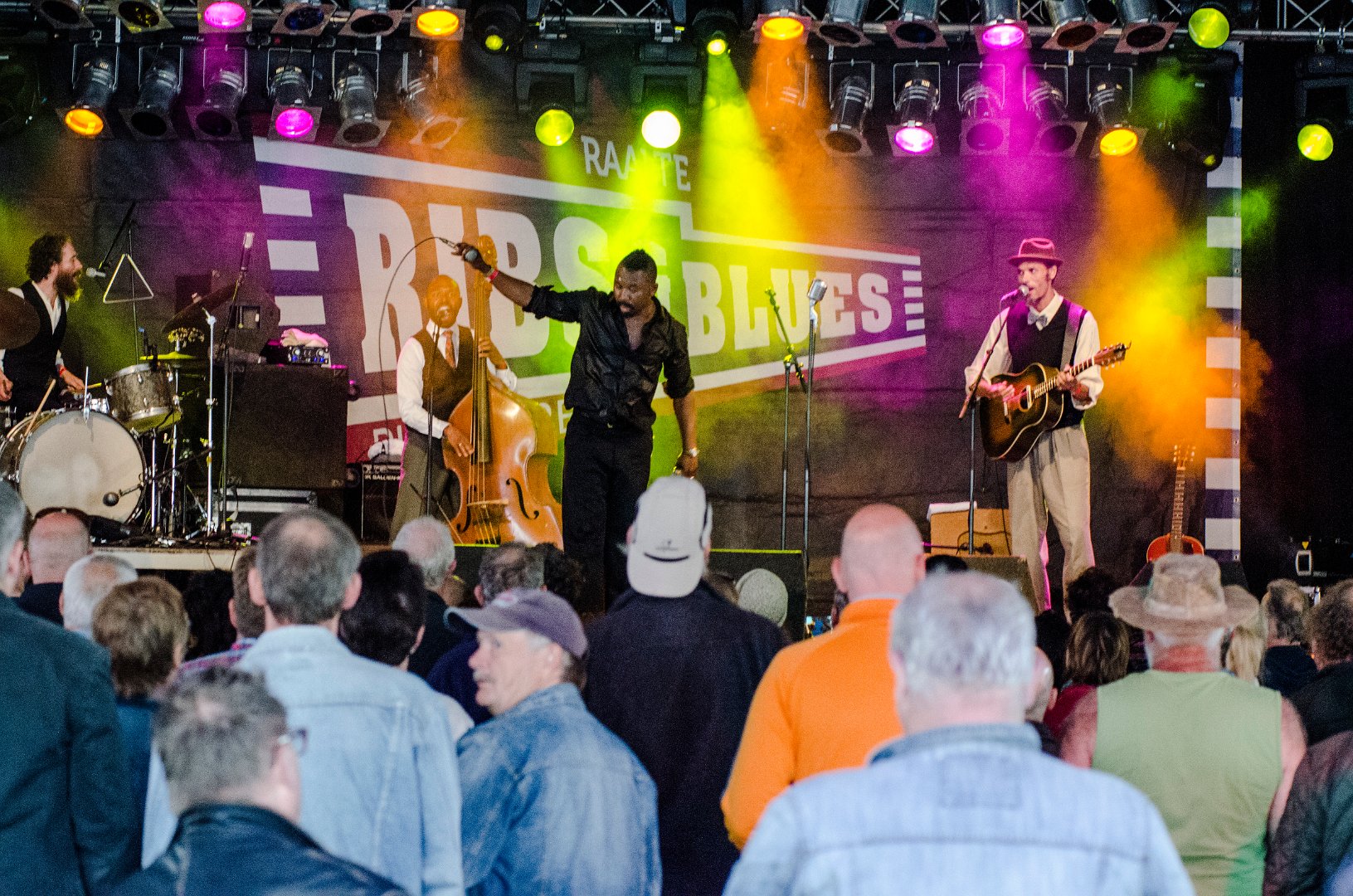 Ribs & Blues 2015 | Reverend Shine Snake Oil Co