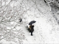 Sneeuw in Nijmegen