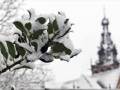 Sneeuw in Nijmegen