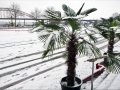Sneeuw in Nijmegen