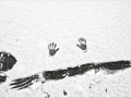 Sneeuw in Nijmegen
