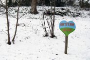 Sneeuw in Nijmegen