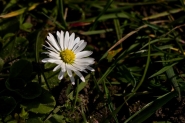 A sunny afternoon