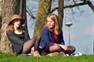 A sunny afternoon