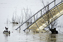 Hoogwater in Nijmegen
