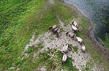 De Ooy vanuit de lucht